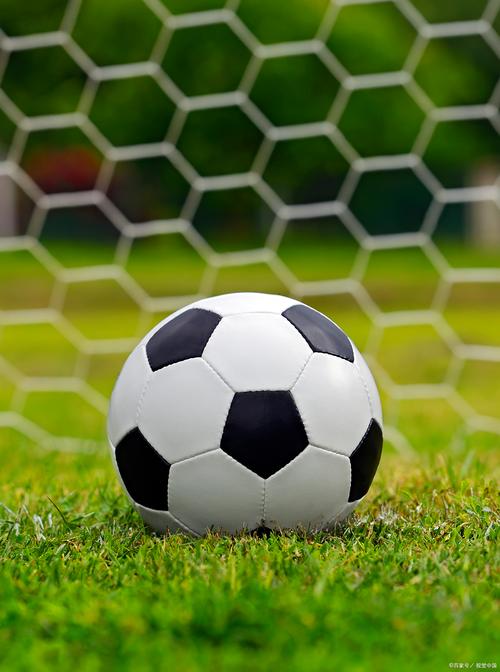 站群推广怎么做的